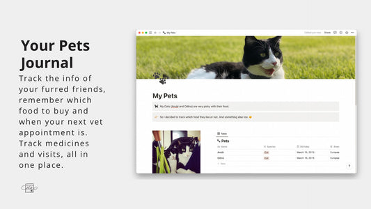 Why using Notion for your pets